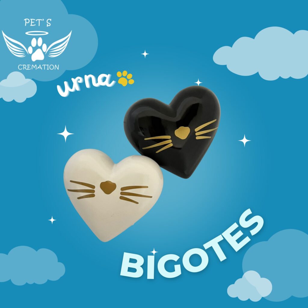 urnas_page-0010