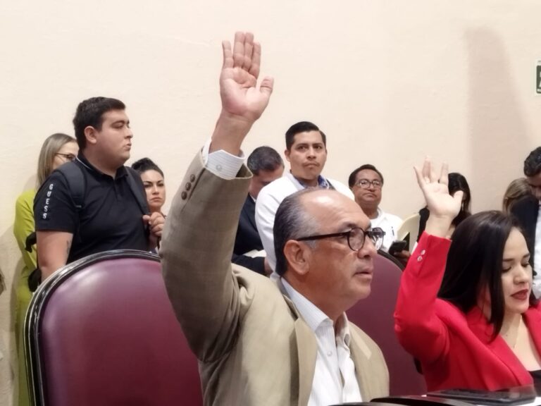WhatsApp Image 2024-11-14 at 17.30.12 (1)