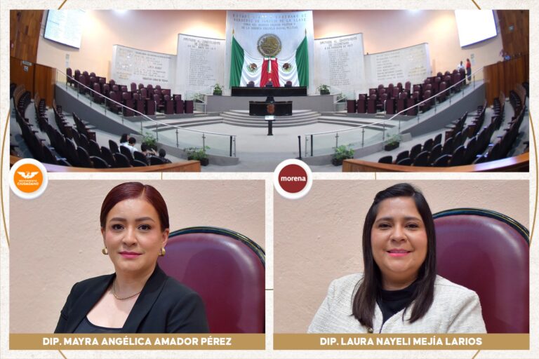DIPUTADA