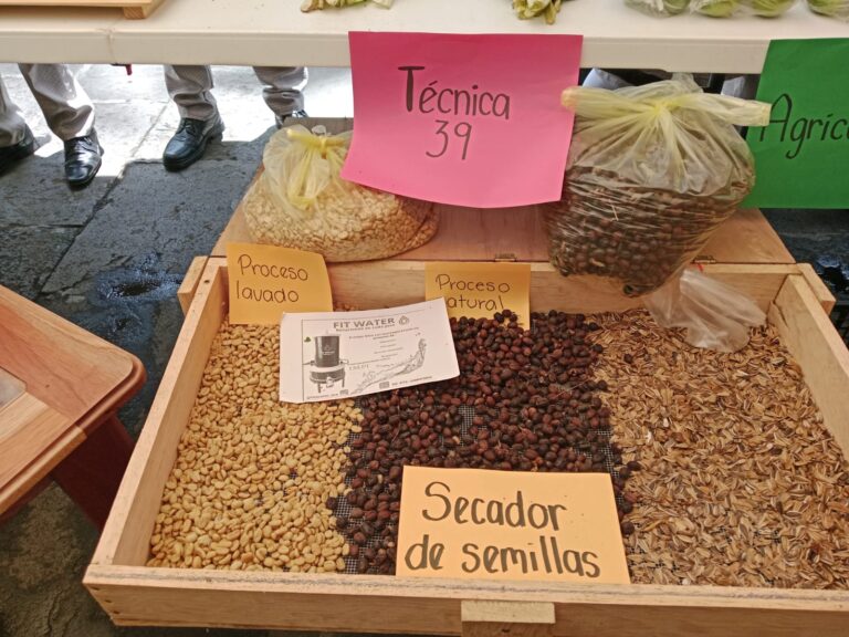 EXPO