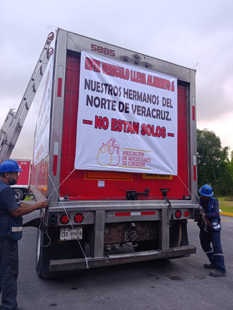 WhatsApp Image 2025-10-21 at 7.10.08 PM