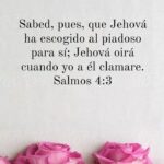 WhatsApp Image 2025-10-28 at 9.47.25 AM