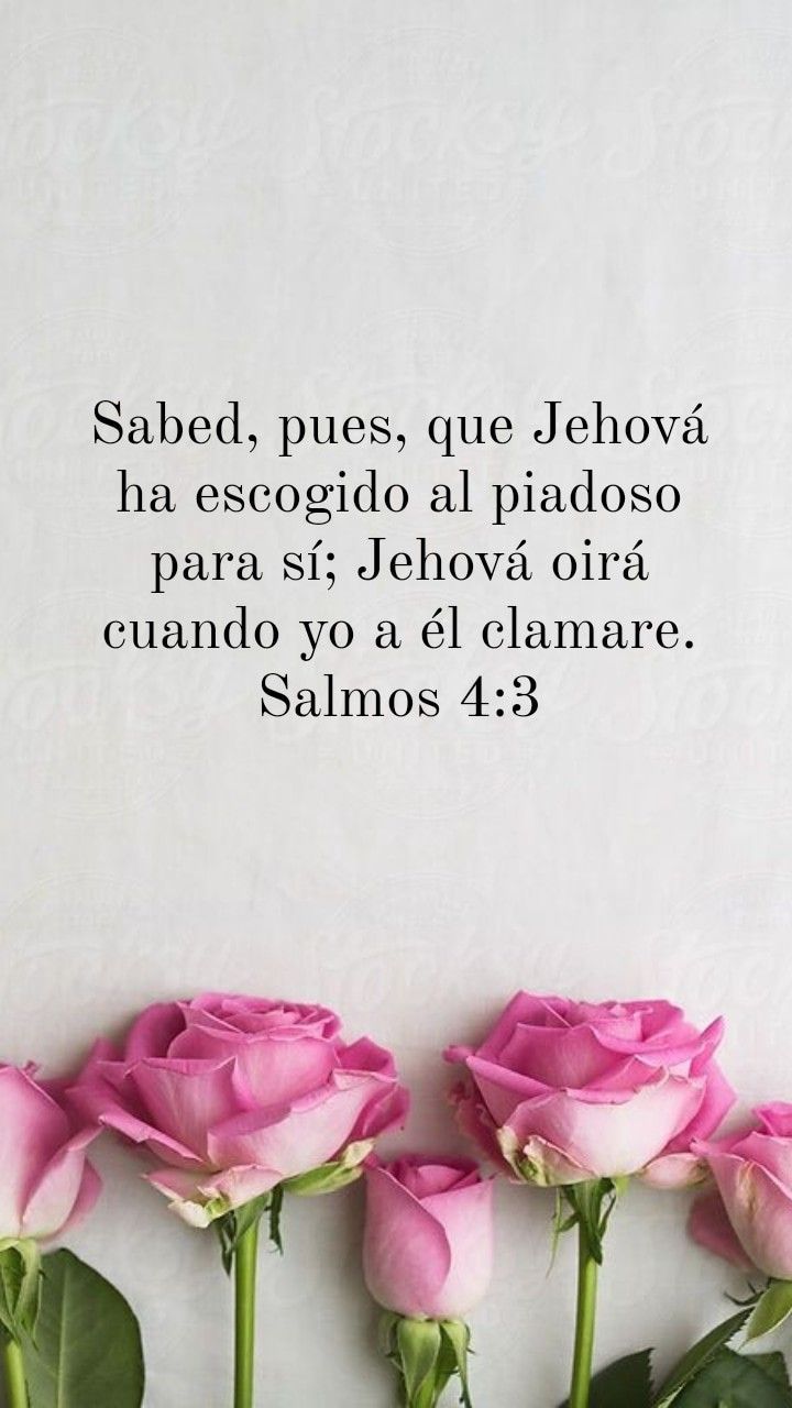 WhatsApp Image 2025-10-28 at 9.47.25 AM