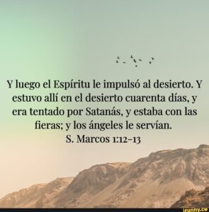 WhatsApp Image 2025-10-31 at 11.07.14 AM