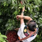 2663927c-4bb6-43f0-9086-9fbf85a01b89