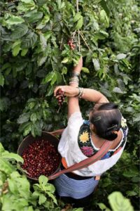 2663927c-4bb6-43f0-9086-9fbf85a01b89