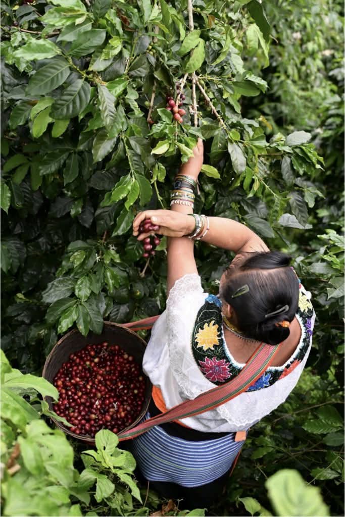 2663927c-4bb6-43f0-9086-9fbf85a01b89