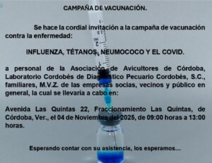 WhatsApp Image 2025-10-27 at 9.06.00 PM