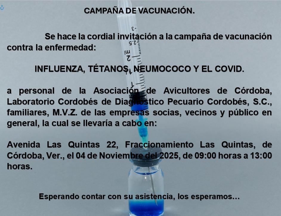 WhatsApp Image 2025-10-27 at 9.06.00 PM