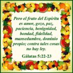 WhatsApp Image 2025-11-02 at 10.17.23 AM