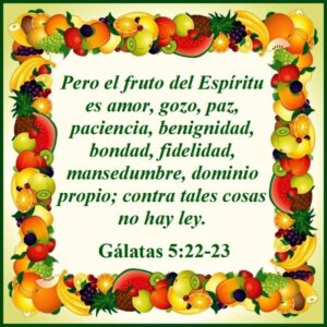 WhatsApp Image 2025-11-02 at 10.17.23 AM