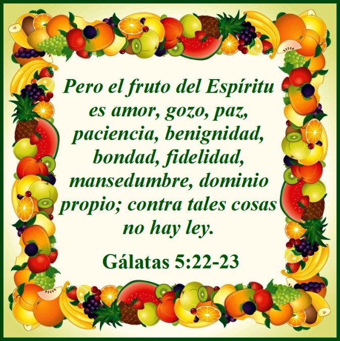 WhatsApp Image 2025-11-02 at 10.17.23 AM