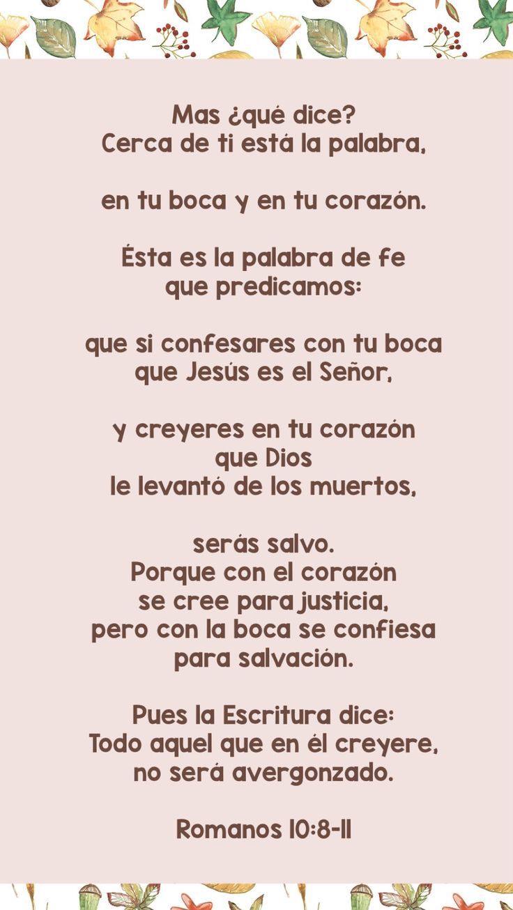 WhatsApp Image 2025-11-10 at 8.26.42 AM