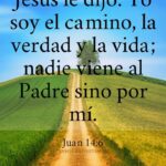 WhatsApp Image 2025-11-13 at 8.24.17 AM