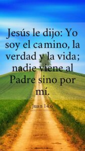 WhatsApp Image 2025-11-13 at 8.24.17 AM