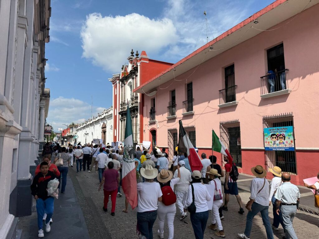 WhatsApp Image 2025-11-15 at 12.42.11 PM