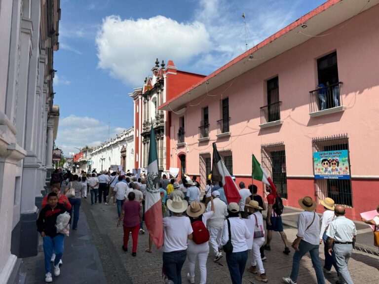 WhatsApp Image 2025-11-15 at 12.42.11 PM