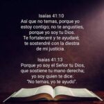 WhatsApp Image 2025-11-15 at 8.03.41 AM