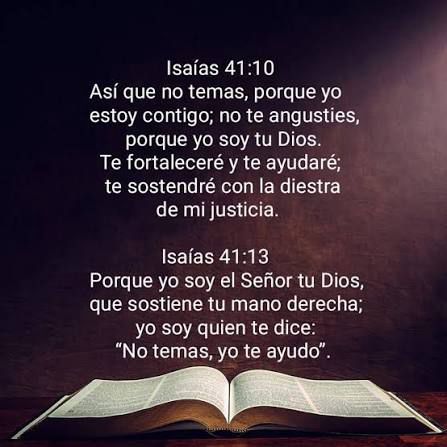 WhatsApp Image 2025-11-15 at 8.03.41 AM