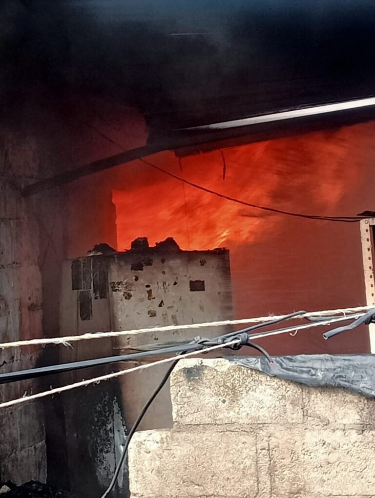 WhatsApp Image 2025-11-16 at 4.33.55 PM