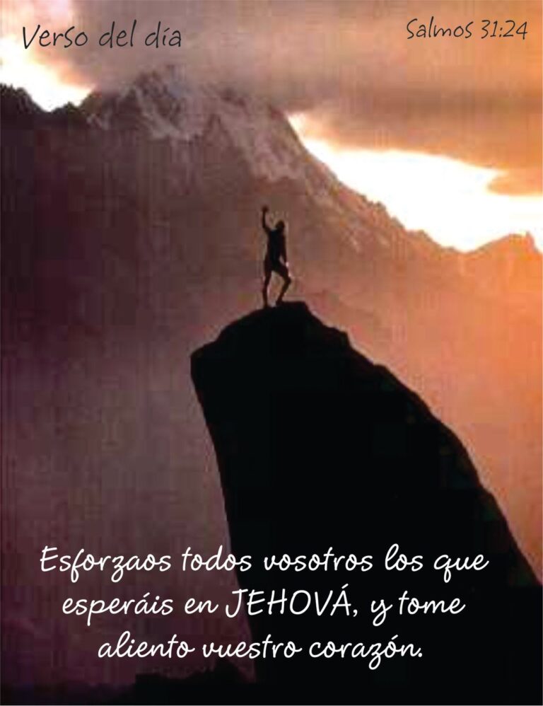 WhatsApp Image 2025-11-18 at 7.03.36 AM