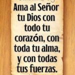 WhatsApp Image 2025-11-19 at 3.42.06 PM