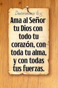 WhatsApp Image 2025-11-19 at 3.42.06 PM