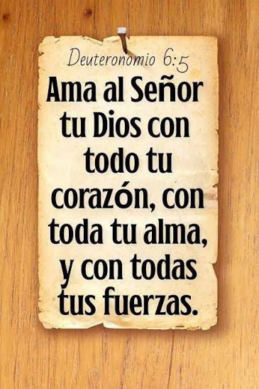 WhatsApp Image 2025-11-19 at 3.42.06 PM