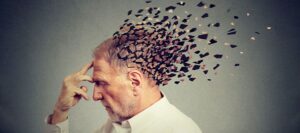 WhatsApp Image 2025-11-29 at 7.47.20 AM