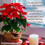 WhatsApp Image 2025-12-02 at 10.20.53 AM