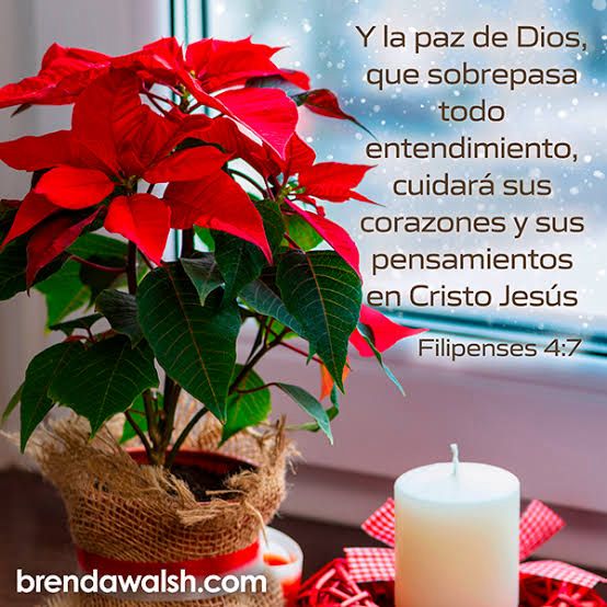 WhatsApp Image 2025-12-02 at 10.20.53 AM