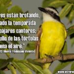 WhatsApp Image 2025-12-05 at 9.00.58 AM