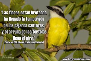 WhatsApp Image 2025-12-05 at 9.00.58 AM