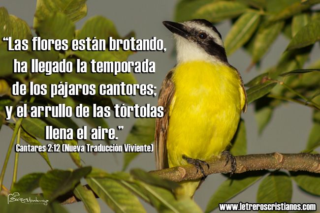 WhatsApp Image 2025-12-05 at 9.00.58 AM