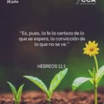 WhatsApp Image 2025-12-09 at 9.28.55 AM