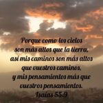 WhatsApp Image 2025-12-11 at 2.32.11 PM