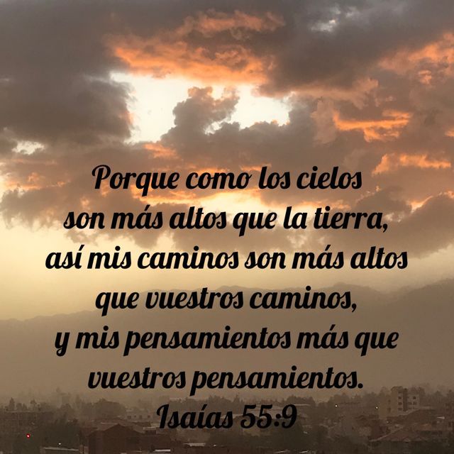 WhatsApp Image 2025-12-11 at 2.32.11 PM