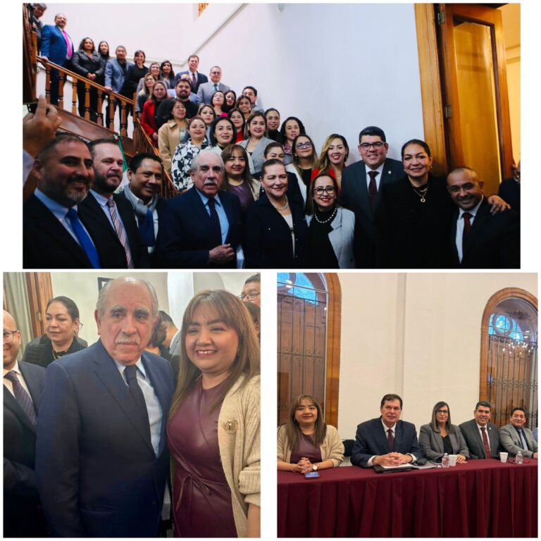 WhatsApp Image 2025-12-15 at 6.27.33 PM