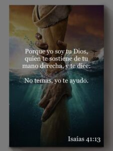 WhatsApp Image 2025-12-16 at 9.23.23 AM