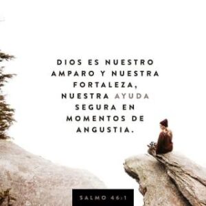 WhatsApp Image 2025-12-22 at 9.02.10 AM