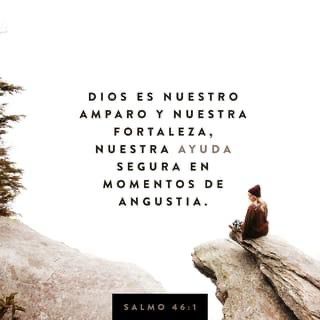 WhatsApp Image 2025-12-22 at 9.02.10 AM