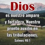 WhatsApp Image 2025-12-24 at 8.00.39 AM