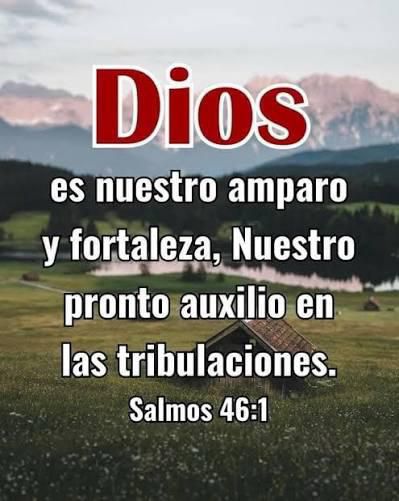 WhatsApp Image 2025-12-24 at 8.00.39 AM