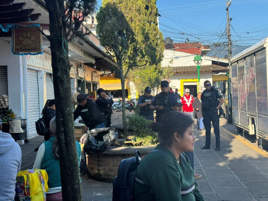 WhatsApp Image 2025-12-27 at 11.54.50 AM