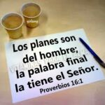 WhatsApp Image 2025-12-28 at 10.11.55 AM