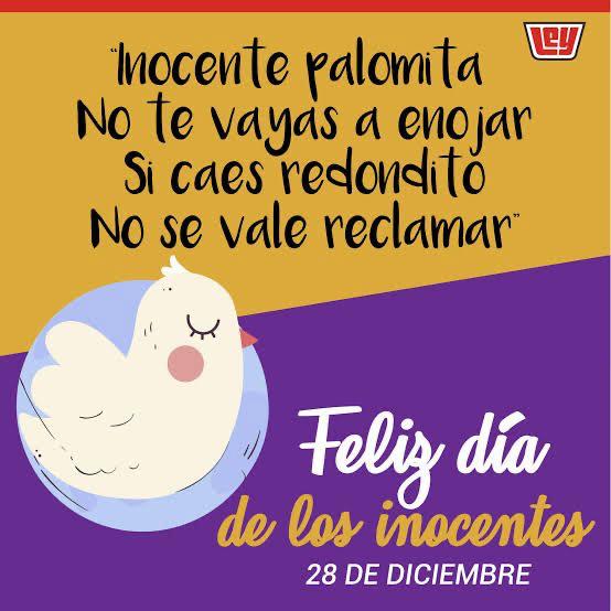 WhatsApp Image 2025-12-28 at 2.04.26 PM