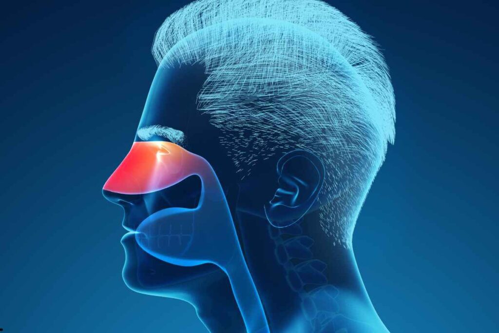 WhatsApp Image 2025-12-30 at 10.06.56 AM