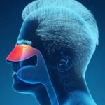 WhatsApp Image 2025-12-30 at 10.06.56 AM