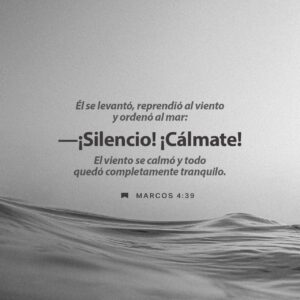 WhatsApp Image 2026-01-04 at 10.18.13 AM