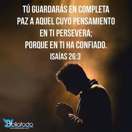 WhatsApp Image 2026-01-21 at 1.21.14 PM